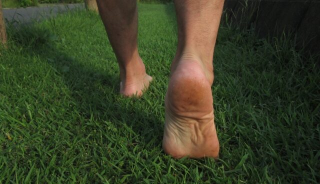 素足で芝生を歩く