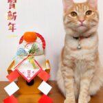 Thumbnail of related posts 119