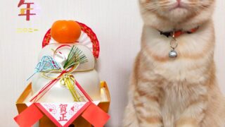 Thumbnail of post image 113