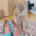 Thumbnail of related posts 143
