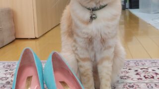 Thumbnail of post image 139
