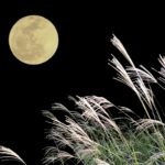 Thumbnail of related posts 049