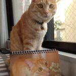 Thumbnail of related posts 102